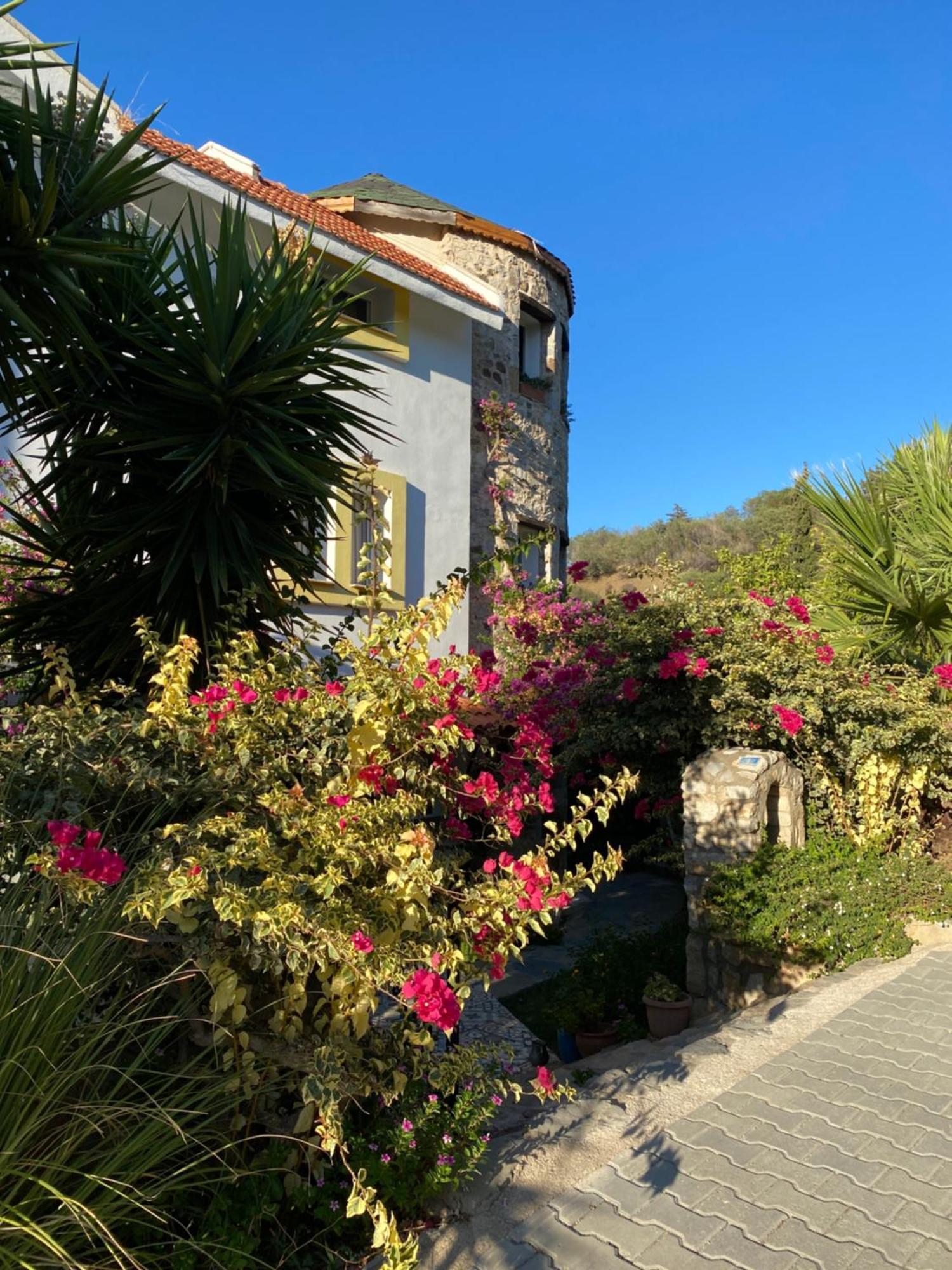 Hotel Villa Tokur Datça Kültér fotó